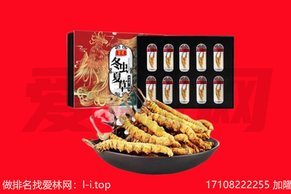 巴青县回收虫草.jpg